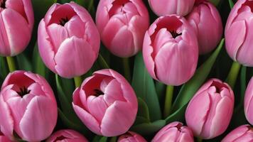 ai gegenereerd foto van roze tulpen in stoutmoedig geschilderd naadloos herhalen patroon. ai gegenereerd