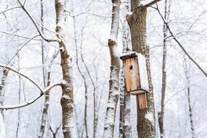 vogelhuisje Aan een boom. vogel voeder en winter huis. winter Woud, alles is gedekt met sneeuw. overwintering vogelstand foto