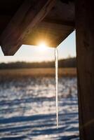 ijskegel Aan de dak. winter tijd en natuurlijk fenomenen. zonsondergang stralen van licht voorbij gaan aan door de dun ijskegel. foto