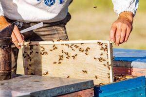 imker werken in de bijenstal. bijenteelt concept. imker oogsten honing foto