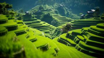 ai gegenereerd een sereen rijst- rijstveld veld- met terrasvormig niveaus foto