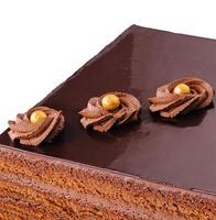 smakelijk chocola taart Aan wit achtergrond foto