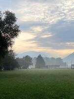 een met gras begroeid veld- met bomen en bergen in de achtergrond foto