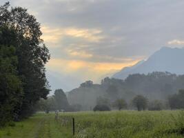 een veld- met bomen en gras foto