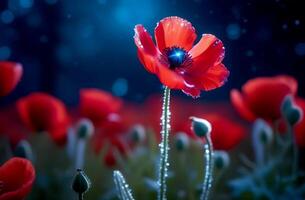 ai gegenereerd een rood papaver bloem met druppels van water en stukken van ijs Aan een donker achtergrond foto