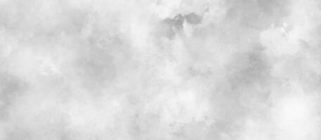 abstract wit en grijs aquarel geschilderd papier textuur, gepolijst en glad borstel beroerte grunge textuur, bewolkt sneeuw structuur achtergrond, wit waterverf schilderij illustratie. wit marmeren textuur. foto