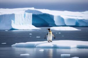ai gegenereerd wereld pinguïn dag, een eenzaam volwassen pinguïn Aan een ijs ijsschots, de koninkrijk van ijs en sneeuw, een ijsberg in de oceaan, een veel van sneeuw foto