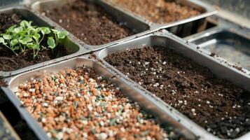 ai gegenereerd groente zaden met een mengen van kokosnoot kokos, turf, en perliet, presentatie van de essentieel componenten van een gezond en vruchtbaar groeit medium in een tuinieren instelling. foto