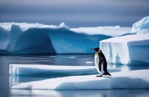 ai gegenereerd wereld pinguïn dag, een eenzaam volwassen pinguïn Aan een ijs ijsschots, een ijsberg in de oceaan, een veel van sneeuw foto