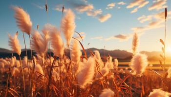 ai gegenereerd rustig weide, gouden zonsondergang, natuur schoonheid in landelijk landschap gegenereerd door ai foto