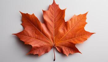 ai gegenereerd levendig herfst kleuren versieren de Woud met geel en oranje gegenereerd door ai foto