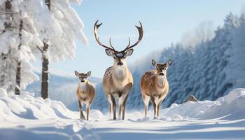 ai gegenereerd schattig hert in winter Woud, op zoek Bij camera, sneeuwen gegenereerd door ai foto