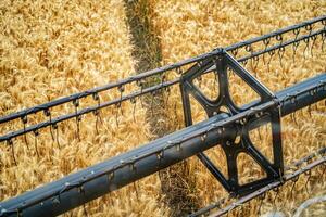 groot combineren maaimachine bovenstaand de tarwe. groot oogst maaimachine werken in veld. foto