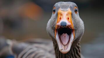 ai gegenereerd detailopname schot vangt een boos gans in een agressief houding, haar bek breed Open in aanval modus, ai gegenereerd. foto