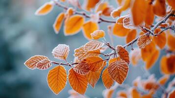 ai gegenereerd laat herfst onthult een mooi tafereel met helder oranje bladeren gedekt in vorst, ai gegenereerd. foto