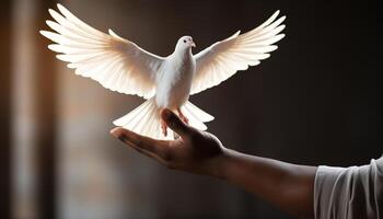 ai gegenereerd hand- Holding duif, symbool van vrede en spiritualiteit, vliegend vrij gegenereerd door ai foto