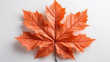 ai gegenereerd herfst levendig kleuren symboliseren natuur schoonheid in een seizoen gegenereerd door ai foto