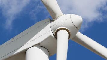 risico dat wind turbines kan doden vogelstand foto