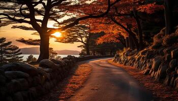 ai gegenereerd rustig herfst Woud, levendig zonsondergang verven natuur schoonheid gegenereerd door ai foto