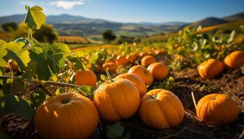 ai gegenereerd herfst boerderij oogst vers, biologisch groenten in natuur gegenereerd door ai foto