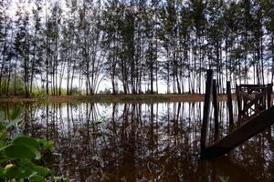 mooi foto's, landschappen foto