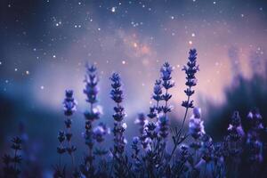 ai gegenereerd sterrenhemel nacht over- lavendel veld- foto