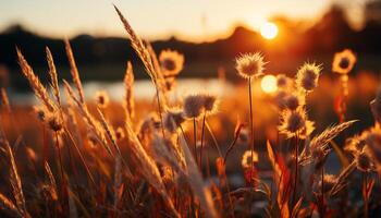 ai gegenereerd zonsondergang over- weide, natuur schoonheid in levendig kleuren gegenereerd door ai foto