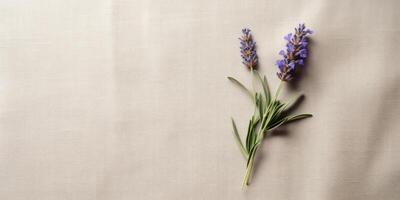 ai gegenereerd lavendel Aan een natuurlijk linnen kleding stof. katoen tafelkleed bloemen achtergrond. generatief ai foto