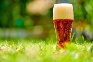 glas van bier is staand Aan een gras met wazig stad park Aan achtergrond. bier met schuim. groen en natuurlijk. alcohol en alcoholvrij concept. foto
