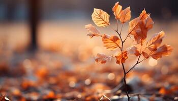 ai gegenereerd levendig herfst Woud, geel bladeren, natuur schoonheid in dichtbij omhoog gegenereerd door ai foto
