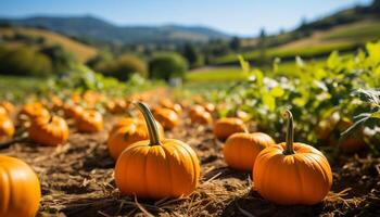 ai gegenereerd vers herfst groenten versieren de landelijk boerderij in oktober gegenereerd door ai foto