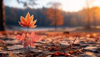 ai gegenereerd levendig herfst bladeren verf de Woud in een kleurrijk meesterwerk gegenereerd door ai foto