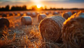 ai gegenereerd zonsondergang over- een landelijk boerderij, weide gouden met gerold omhoog hooi gegenereerd door ai foto