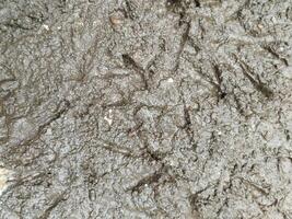 gebarsten bodem, droogte bodem, nat bodem en modder textuur, nat land. foto