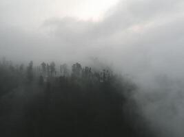 regenachtig weer in bergen. nevelig mist blazen over- pijnboom boom Woud. antenne beeldmateriaal van net Woud bomen Aan de berg heuvels Bij nevelig dag. ochtend- mist Bij mooi herfst Woud. foto