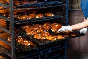 vers knapperig bakkerij producten nemen van oven. heet smakelijk brood van brood. foto
