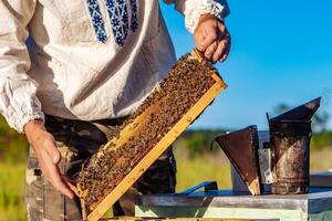 imker werkt met bijen en bijenkorven in de bijenstal. foto