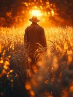 ai gegenereerd boer wandelen door gouden tarwe veld- Bij zonsondergang foto