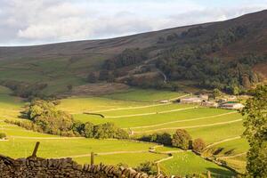 idyllisch landelijk landschap met groen velden, steen muren, en een klein dorp genesteld in een vallei omringd door rollend heuvels in yorkshire dalen. foto