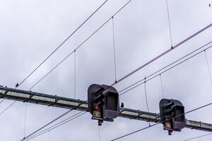 overhead signalen en hoog Spanning kabels Aan een portaal net zo een deel van de Nederlands spoorweg. foto