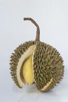 een durian fruit is besnoeiing Open Aan een wit achtergrond foto