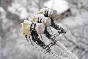 rijp Aan de satelliet schotel in winter. omvormer, de hoofd element van de satelliet schotel in sneeuw. detailopname foto