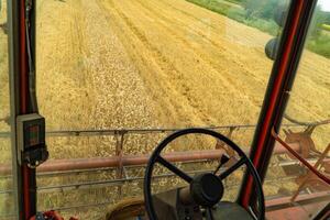 visie van de tarwe veld- van de combineren oogstmachine gedurende oogsten foto