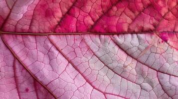 ai gegenereerd detailopname van een herfst blad ingewikkeld textuur, presentatie van levendig tinten. ai gegenereerd foto