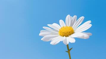 ai gegenereerd een single wit madeliefje met een levendig geel centrum bereikt naar de Doorzichtig blauw lucht, uitstralend bloemen elegantie. ai gegenereerd. foto