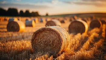 ai gegenereerd zonsondergang over- een landelijk boerderij, weide gouden met geoogst tarwe gegenereerd door ai foto