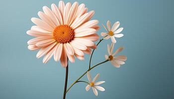 ai gegenereerd versheid van zomer geel madeliefje bloesems in natuur weide gegenereerd door ai foto