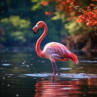 ai gegenereerd flamingo kalmte roze flamingo in een dichtbij omhoog water tafereel voor sociaal media post grootte foto