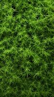 ai gegenereerd veelzijdig groen achtergrond abstract top visie van getextureerde gras backdrop verticaal mobiel behang foto
