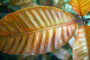 ai gegenereerd bruin jong mango bladeren, een sereen en natuurlijk achtergrond foto